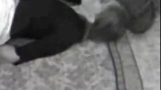 Graži MILF su kojinė ...