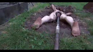 Parduotuvėje ant par ...